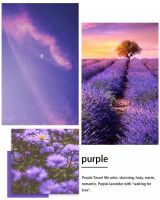 【YASLAN】黄配紫撞色怎么撞才能撞出高级感？