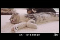 后浪来势汹涌，看SIMBA如何将黑科技床垫玩出新花样？