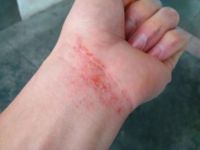 有人说碱性的墙面好？卡西米和你说道说道