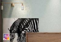 厌倦一成不变？Decoverf皇家帝孚绮俪思艺术漆带你享受不一样的视觉盛宴！