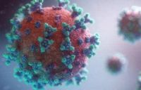 疫情反复 三文鱼下架 我们该如何守护健康？