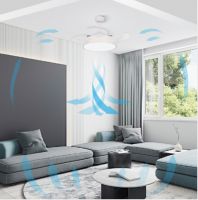 正泰智能风扇灯「C位出道」，何以开启盛夏家居新潮流？