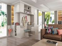 入户柜怎么设计？