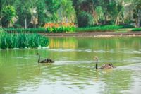 豪取2020单盘销冠，荣膺殊荣的宏义山湖语究竟强在哪？