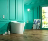 马桶是世界最伟大发明之一？普乐美带你揭秘它的前世今生