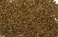 枕头材质大PK:你家枕头是怎样的?