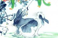 87属兔和88属龙不合吗 1999年兔和2000年龙好不好