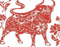 属牛和属牛的婚姻配吗 属牛和什么属相最配