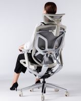 人体工学椅哪家强?ergoup有谱获京东官方内测认可....