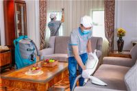 宅家也危险？洗帘猫用硬实力解决软装清洗难题