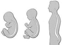 养娃路上消费多，为何宝妈们都愿意给Babyfirst灵犀氪金？