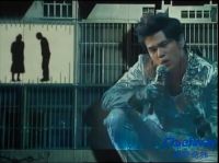 都见过孔雀，但你见过黑科技让“孔雀开屏”吗？