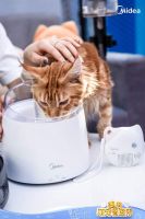 “双11”活动如何成功出圈？“美的萌宠智愈所”玩转营销新花样