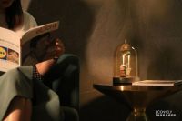 新特丽倡导的后装照明,会成为2020年灯饰行业新趋势吗?