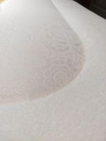 冬天睡觉腰酸背痛？试试易翻身的东宝床垫