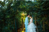 有多少人结婚没有拍婚纱照 拍森系婚纱照好吗