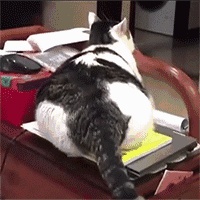 欧神诺陶瓷 |房小瘾大，我们是怎么把公寓装修成别墅的？