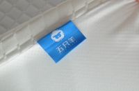 失眠睡不着？教你快速入睡的五个小妙招，1分钟入睡，一觉到天亮