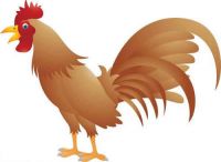 属鸡男和属狗女的适合做夫妻吗 属鸡男和属狗女的性格怎样