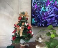 诺贝尔瓷抛砖怎么样？诺贝尔瓷抛砖为你打造简单又实用的圣诞个性家居