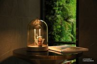 行业观察|进击的新特丽照明，如何在2020年乘风破浪？