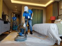 换季大扫除有难题？洗帘猫360°洗护无死角无损伤！