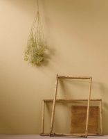 &ldquo;春色&rdquo;满园,德爱威墙面漆这些色彩你心动了吗?