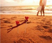 狮子座和巨蟹座配吗 不愿意找对象的星座