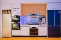 除了中国，海尔冰箱还在哪些国家引领？答案来了