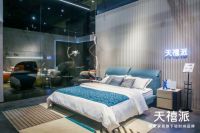 科技生成，环保有态|天禧派新生态系列闪耀东莞家具展！