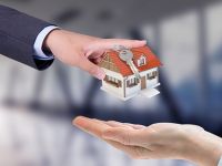 美时丽是多乐士吗？美时丽要多少钱？