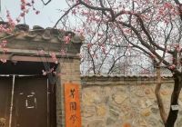 住多大的房子最旺运？房前房后有什么最好！