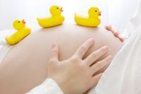 怀孕的人可以喝茶吗 怀孕喝什么茶好