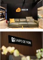 互联网巨头做智能家居更专业？看完3月家居展会，这家企业正名！