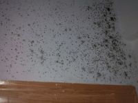 梅雨季来袭！你家墙面有这种问题吗？