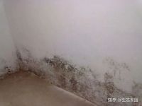 梅雨季来袭！你家墙面有这种问题吗？