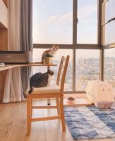 封阳台花好几万？别再犯傻了，弄懂隐藏的猫腻，比别人省好几千！