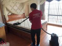 床垫用久=螨虫成群?东宝床垫除螨有妙招