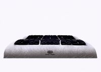 吸引无数大牌明星的杜勒米亚枕,究竟贵在哪?