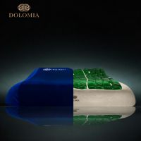 吸引无数大牌明星的杜勒米亚枕,究竟贵在哪?