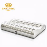 吸引无数大牌明星的杜勒米亚枕,究竟贵在哪?