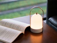 原创设计知名品牌|新特丽在世界知识产权日发出维权最强音！