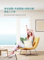 LOVE YOUNG爱尚氧芭，专业的环保涂料品牌！