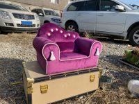 你敢信吗？她用2.5㎡后备箱，打造5大宠物明星的家