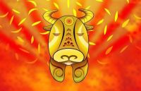 本命年能结婚吗属牛 属牛本命年结婚有什么忌讳