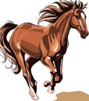 男鸡女马婚姻相配吗 男鸡女马生什么属相的宝宝好