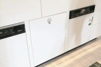 后悔与不后悔 洗碗机真的是现代家庭的刚需吗？