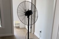 新房放绿植除甲醛真的有用吗？看完你就知道了