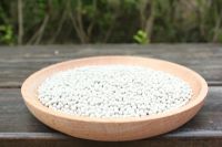 新房放绿植除甲醛真的有用吗？看完你就知道了