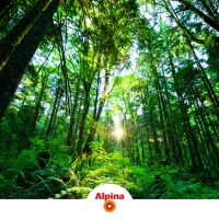 环保涂料你选对了吗?618来看看阿尔贝娜带来的涂料色彩盛宴